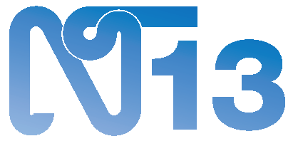 NT'13 Logo